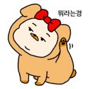 디자인피클 이미지