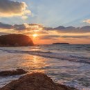 반도스파인 이미지