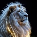 해비치 골프아카데미 이미지