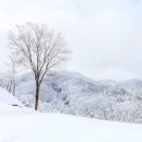 고요목장 이미지