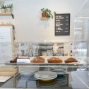 파즈앤토브 이미지