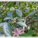 분당노인종합복지관 내 이미지