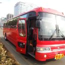 4월7일 마량 동백꽃&amp;주꾸미 축제 당일 봄나들이~마감합니다~많은 관심에 감사드려요~ ^^* 이미지