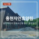 용현자연휴양림 휴양관 코스모스 객실 후기