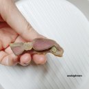 우리강아지 | [일상, 후기] 어느날 우리강아지에게 당뇨가 온 이야기 2. (휴물린엔 인슐린, 저혈당, 동물약국)