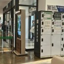 대미기프트 | 서울식물원 입장료, 찾아가는 길, 주차 예약 꿀팁!, 주말 아이와 가볼 만한 곳, 온실부터 야외 호수원...