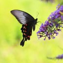 햇님어린이집 이미지