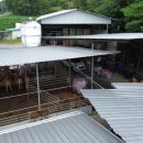 하나2호태양광발전소 이미지