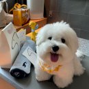 호텔호사 이미지