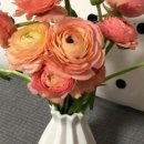 롯데백화점 대구역 뒷편 이미지