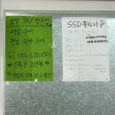 제주 달밤 | 경주감포맛집 오션뷰 포차거리 신라의달밤 안압지