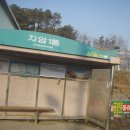 신갈리(갈미) Daum카페