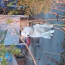 복주는부동산공인중개사사무소 이미지