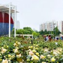 장미정원 이미지