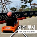 355-2-000125 | 경주 액티비티 보문단지에서 즐긴 속도감 가족 모두 만족했던 루지 체험 후기