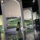 6월 첫주 일상 :: 이번주 주제는 미용 주간