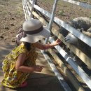 은지목장 이미지