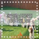 에르멍스 이미지