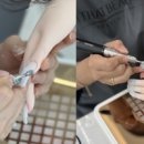 네일루트