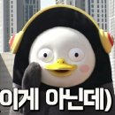 하투 Daum카페
