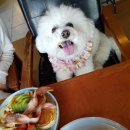 여행팡팡