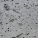 호동바닷가가든 이미지