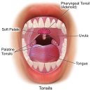 치아교정 - 턱관절 치료 "정수창' 이미지
