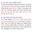 이슈토론논술