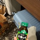 아만아파 | 디퍼댄크레페/긴타코),로피아,이치후지모츠나베,코메다커피,쿠시카츠센스,공항(미야비/아만베리/유니클로)