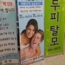 블루비뇨기과 네이버블로그
