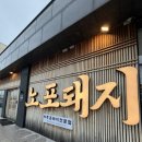 애월돼지 | 곽지해수욕장 맛집 노포돼지 애월 솔직후기 | 애월 맛집 흑돼지 | 제주맛집 고기집