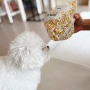 버거플렉스 | 맘스터치 에드워드리 싸이버거 K비프버거세트 싸이플렉스버거 솔직후기