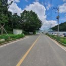 칠곡양떼목장 이미지