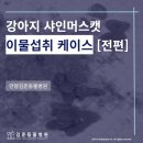 관양동물병원 이미지