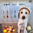 랑개 이미지