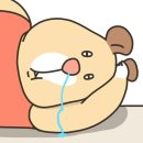 마이어스 수원점 이미지