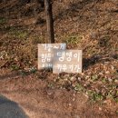 풍산개마을 이미지