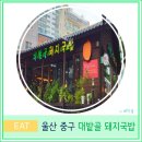 울산 3대 국밥 태화강 국가 정원 현지인 맛집 대밭골 돼지국밥