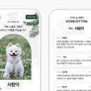 포레스트 펫 이미지