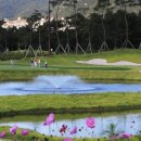 레이크우드CC 어반 레인지 이미지