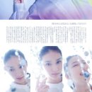 타케이 에미 카카오 검색결과