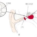 다이빙시에 귀가 아프지 않나? 이미지