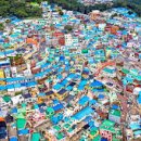 달맞이길62번길 13 이미지