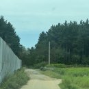 공주고고셀프세차타운 | 반딧불이 볼 수 있는 체험형 키즈캠핑장_ 태안 신두리오렌지캠핑장 내돈내산