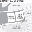 울산혁신도시 신세계백화점 옆 복합용지 매각 이미지