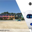 아카에이아이, 용인 백봉초등학교에 인공지능 학습 로봇 ‘뮤지오’ 공급 이미지