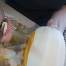 달욱농장 이미지