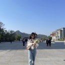 션하냥 이미지