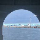 아미낙지 | 9월 일상, 몰래 찾아온 가을