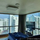 이스타빌 이미지